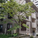 ドエル大和西口 外観