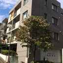 ラセーヌ23上池袋 外観