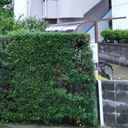 高峰コーポ III 外観