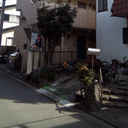 桜樹 外観