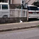 バンガード岸町 外観