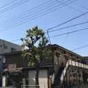 ちどり荘 外観