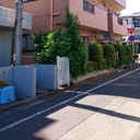 メゾンさわらび 外観