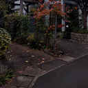OWL HOUSE 外観