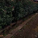 PREMIERA 外観