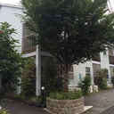 Timber Apartment 外観