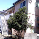 アムール1 外観