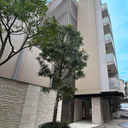 サンウッド桜新町 外観
