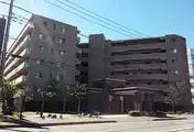 デイパーク横浜綱島