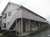 スプルース