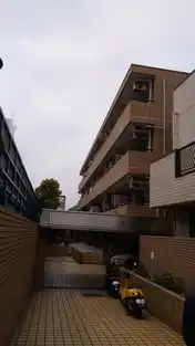 シャロン川口