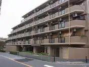 セザール中村橋