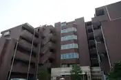 ノーサイド