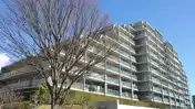 タンタタウン9番街