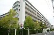 ラ・ヴィータシティ