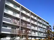 GlicinaOtaka2