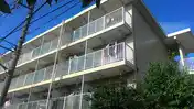 セシーズイシイ6