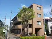 セザール綾瀬