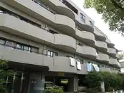 スターリースカイ