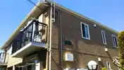 IZSG バンクシアエ・ルテア