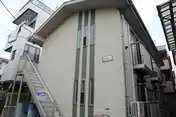 アムールヤマヨイケガミ