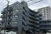 青秋桜