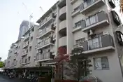 小杉御殿団地5号棟