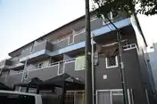 チェリーコート