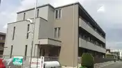 ティフォーゾ