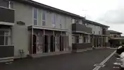 ハイツルピナス
