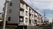 ハイムサエグサ D