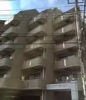 セントポーリアコヒナタ