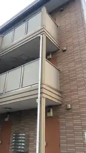 パレス林
