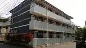 レオネクストリモーネ V