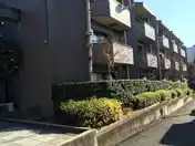 チェリーコート