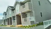 プラシード