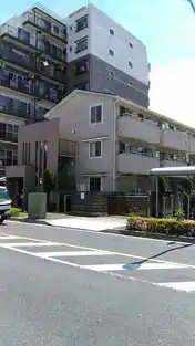 シルクコット
