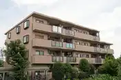 パーシモン