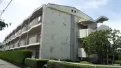 グレイス・パル1