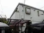 PINES MAISON