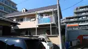 スターシャンテ