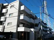 ライフレビュー綱島東
