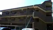 ハレコオリナ