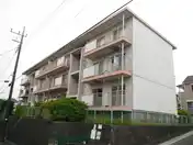 ハイツモア