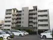 フォルトゥーナ