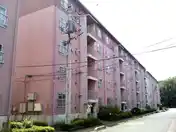 下九沢団地24号棟