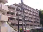 コスモヒルズ宮崎台