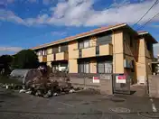 オレンジロータス