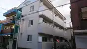 シルフィード蕨