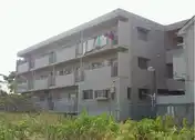 ウェルストン原山